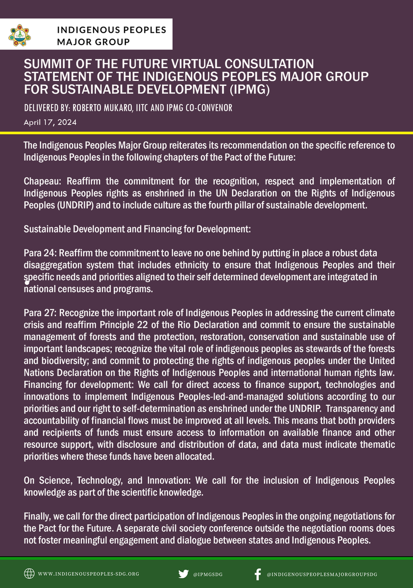 STATEMENT | Summit of the Future Virtual Consultation Delivered by Roberto Mukaro Borrero on behalf of IPMG. 'WE CALL FOR THE DIRECT PARTICIPATION OF INDIGENOUS PEOPLES IN THE ONGOING NEGOTIATIONS FOR THE PACT FOR THE FUTURE' #IndigenousPeoples #WeAreIndigenous