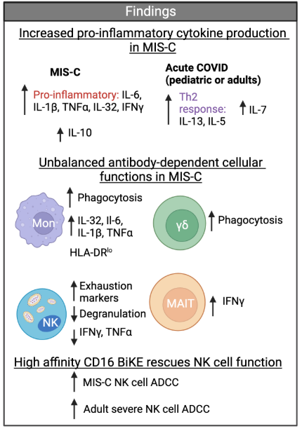 In MIS-C, monocytes were hyperfunctional for phagocytosis + cytokine production, while NK cells were hypofunctional for killing + cytokine production, which correlated with systemic IL-6 <a href="/HamiltonHartLab/">Hamilton Hart Lab</a> @JDoctobe
biorxiv.org/content/10.110…