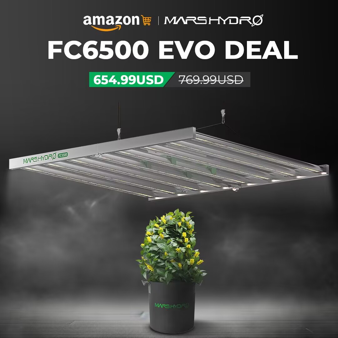 Coco_Pan2022's tweet photo. #FC6500EVO 730Watt #smartgrowlight
Take control of your lighting and data with ease using the Mars Hydro APP.Not only can Enhance plant growth with the Sunrise & Sunset
AMAZON LINK:
https://t.co/YlgKcgvY3D https://t.co/tK0JQmJfES