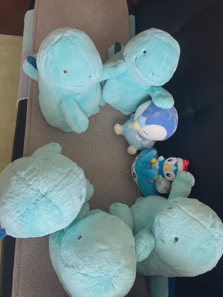 nuooo_channel's tweet photo. 新入社員
 #ポケモン  #ヌオー https://t.co/yPPXNqzOu9