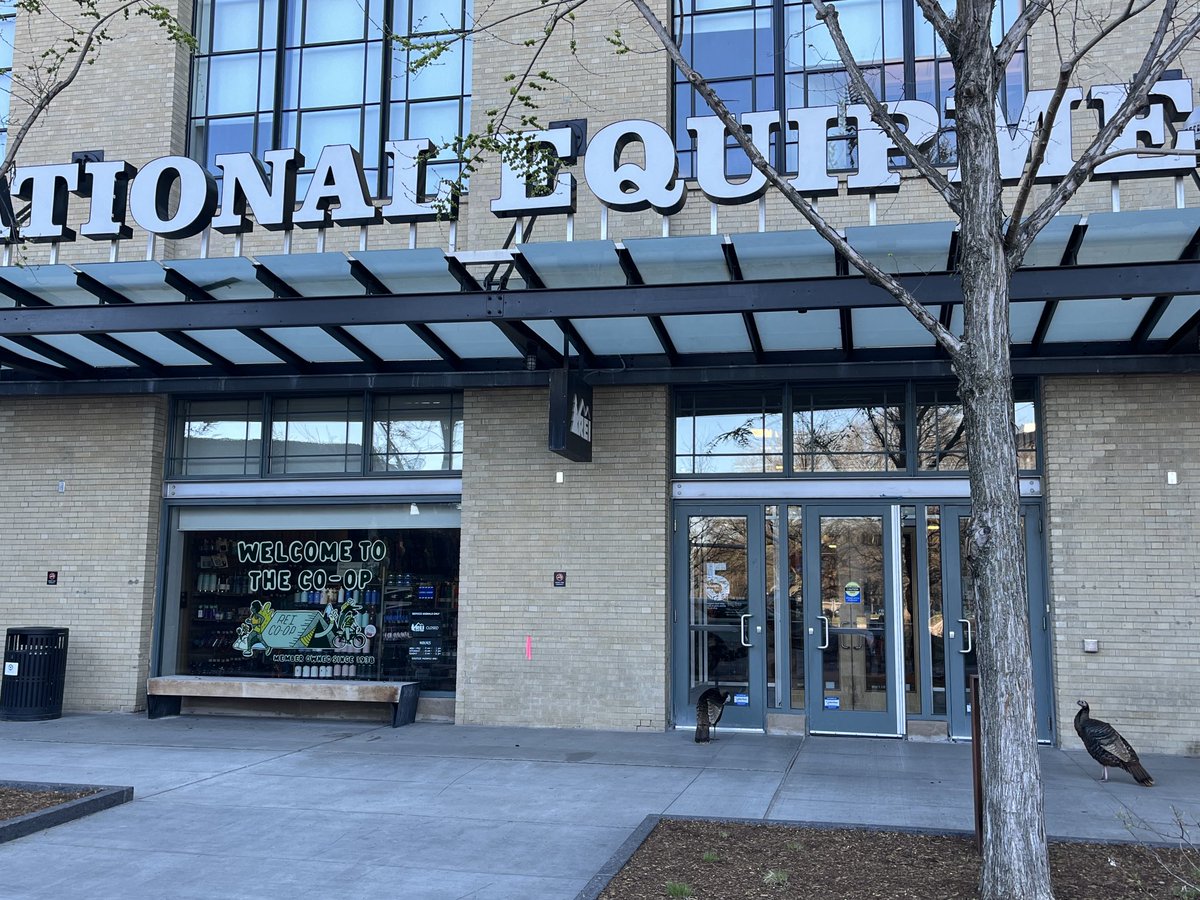 Emily Oken MD, MPH tweet media