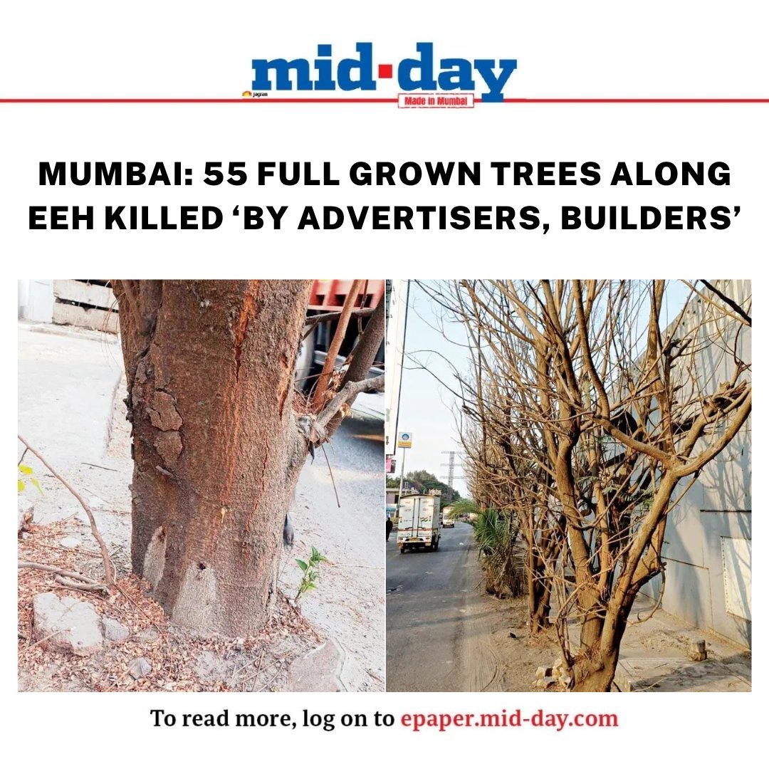 mid_day's tweet photo. Green body complains to cops against builders in January, but Pant Nagar police only register NC, say ‘nothing suspicious found’ in CCTV footage

Via: @AgasheApoorva  

#Mumbai #CuttingTrees #Trees #Builders #MumbaiPolice #NewsUpdates 

https://t.co/eN0sRGVdao https://t.co/fQE6C67XFT