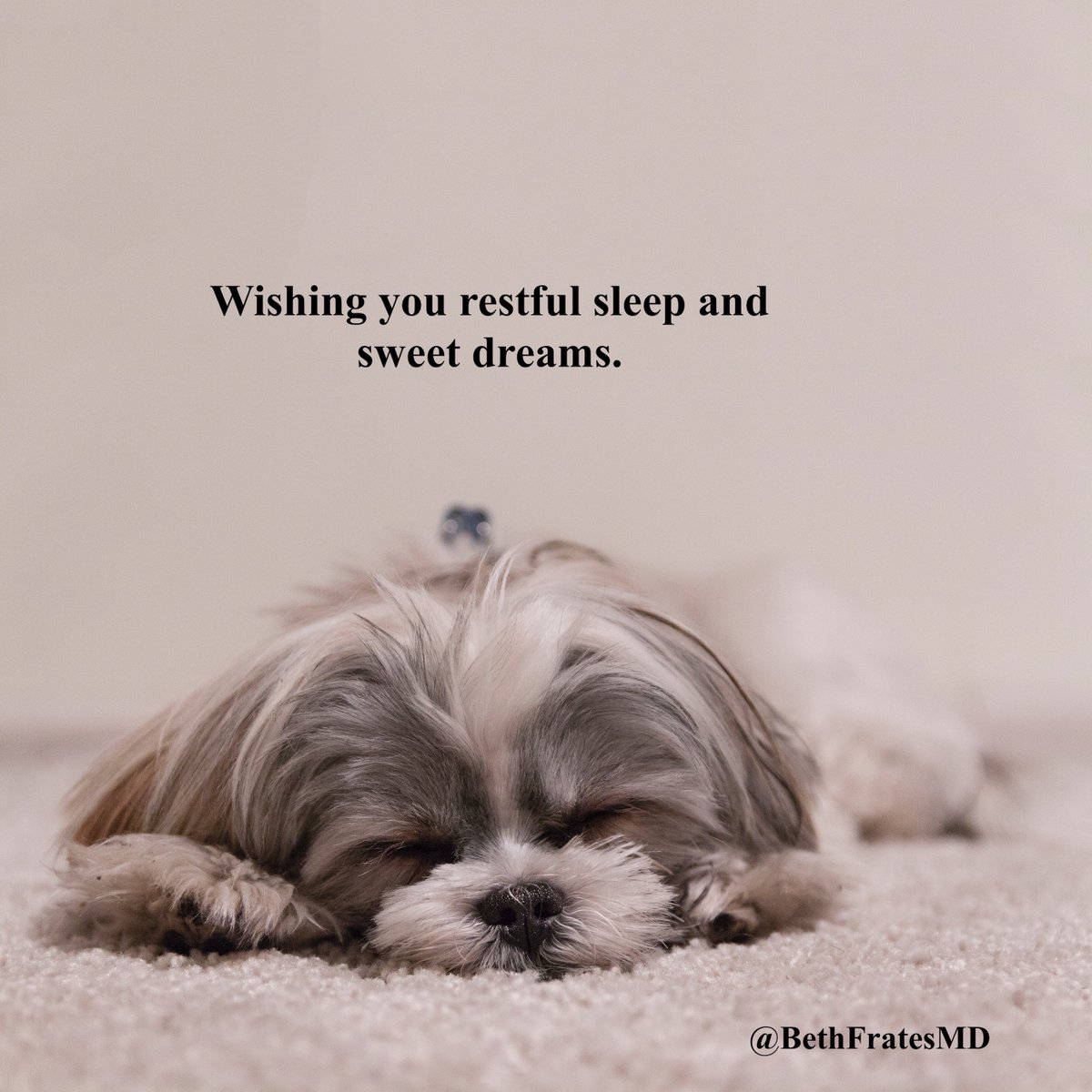 Have a good night, full of sweet dreams and restful sleep.

#goodnight #GoodNightTwitterWorld #sleep #mindset #dogs