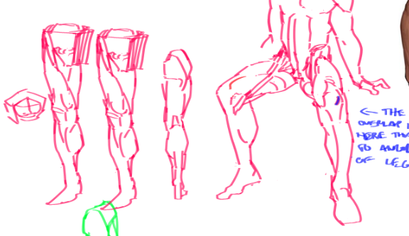 senta_ii's tweet photo. tryna figure out leg and knee stuff. https://t.co/4wEPrWFJtn