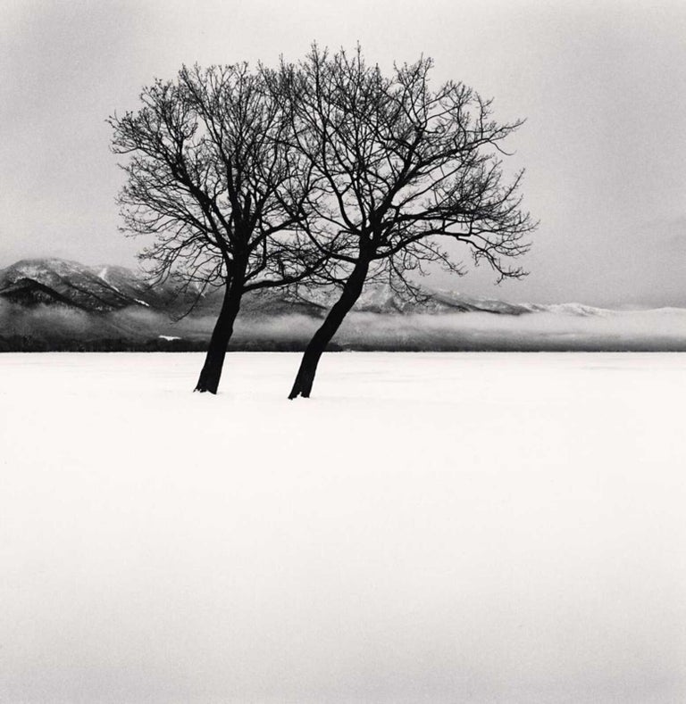 Michael Kenna Dancing Trees, Kussharo Lake, Hokkaido, Japan by Michael Kenna, 2020