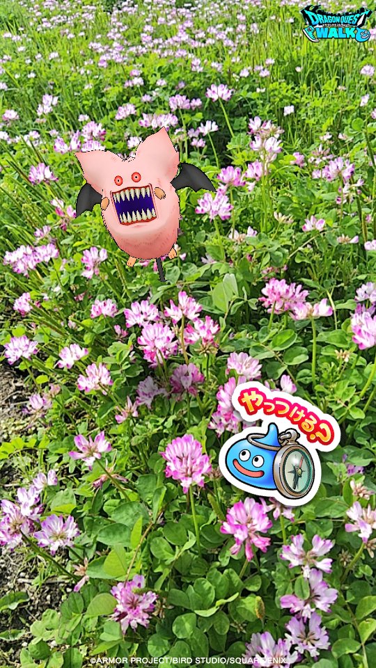 綺麗な花には棘がある？？🤣

#かいしんの一枚
#DQウォークフォトコン
#AR撮影下手くそ部