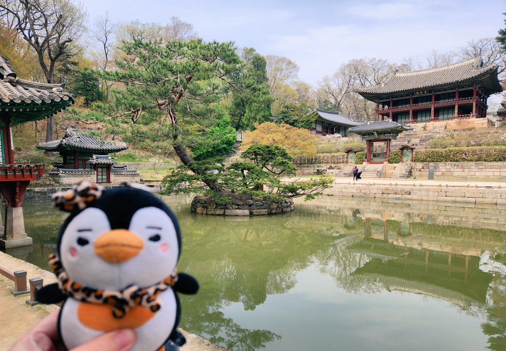 'This place looks oddly familiar.' - 🤭☺️☺️🤭

*Penpen at Changdeokgung Palace Secret Garden during his last visit.*

#Penpentravels
#TheRedSleeve