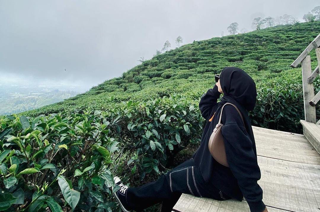 aboutngawi tweet media