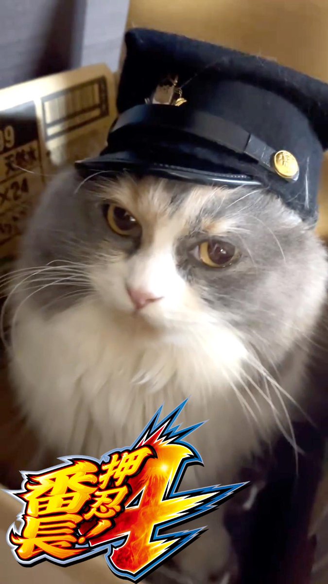 ziutu's tweet image. スマスロ押忍！番長4が待ちきれなくてハナちゃん轟になりました！

#スマスロ番長CP 
#番長4 
#番長４ 
#番長