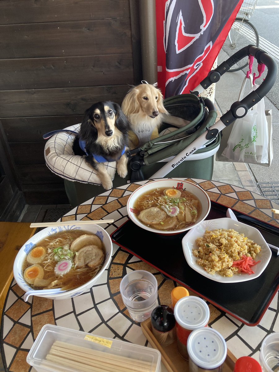 甚助（jinske12） tweet media