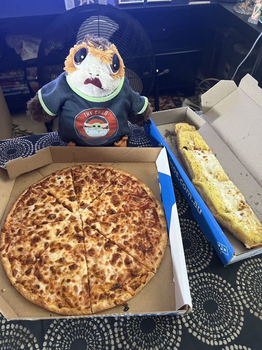 We got Pizza! And Cheesy Garlic Bread! Hopefully now my Magpies and Tigers win and this day will be complete #porgsoftwitter #porgsofx #porg #tatertotsquad