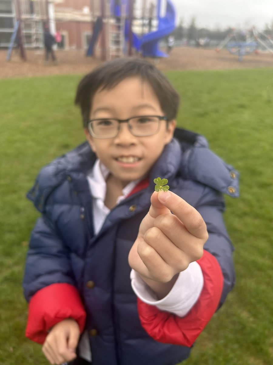 Students at recess were lucky to find loads of four leaf clovers! 🍀