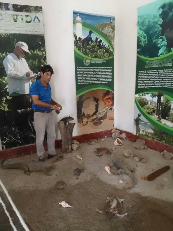 YoelMaqueira's tweet photo. Seguiremos desde nuestra responsabilidad de fortalecer la actividad científica y ambiental. Cómo respuesta al pensamiento de nuestro comandante. #PinardelRío @citmacuba @dpinardelrio @AMA_CUBA @mesaredondacuba @YamileRamosCord @ecovi https://t.co/Gnn9SuqLFv