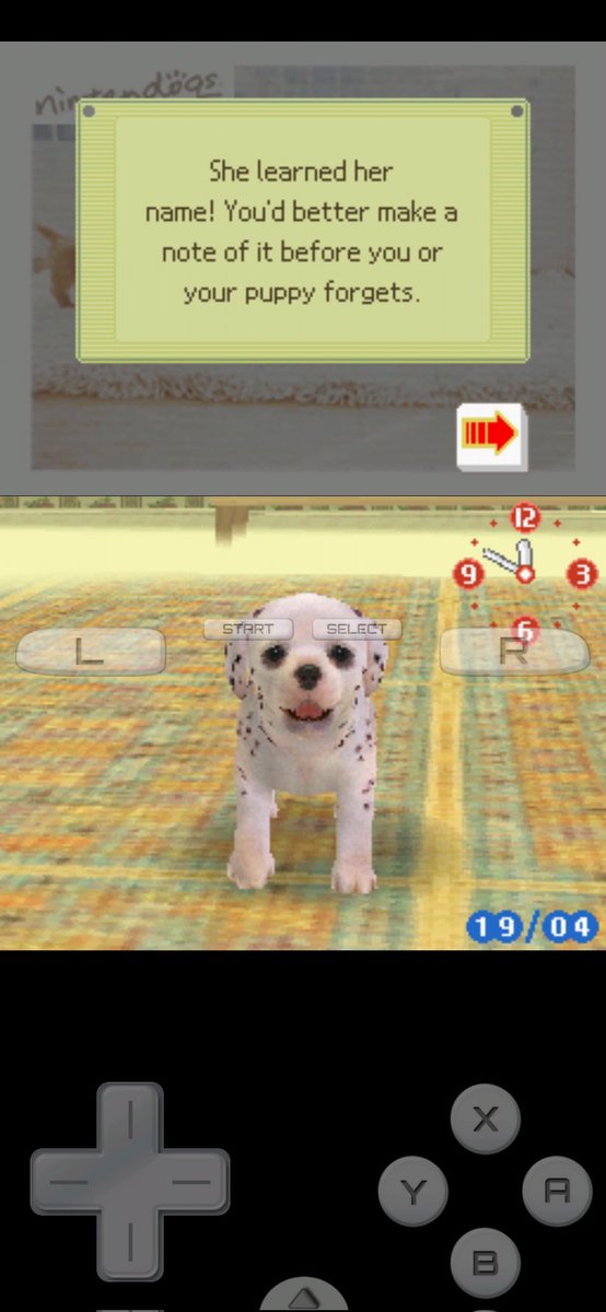 scoomss's tweet photo. downloaded a ds emulator and....... this is my life now https://t.co/ZLhn5UMbDv