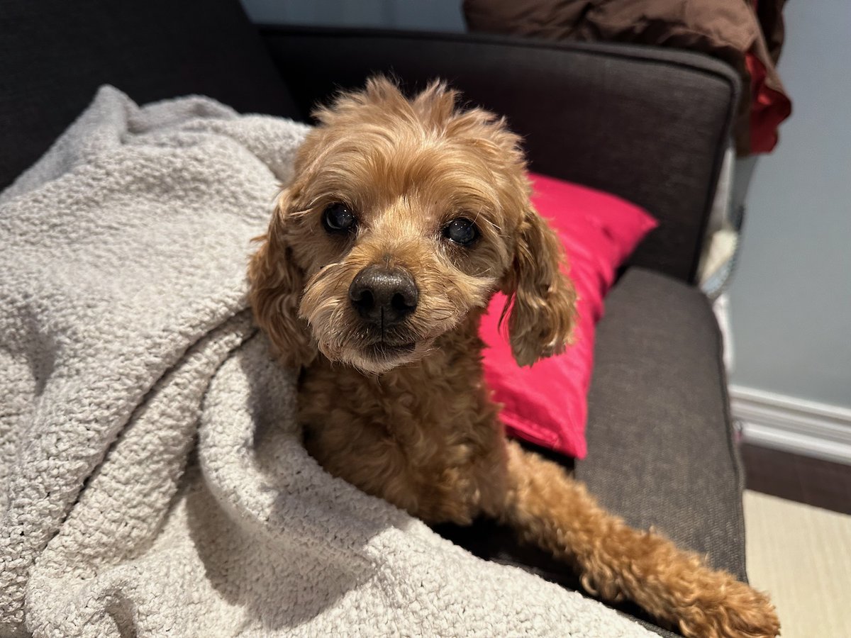 Will it be another rainy weekend? Cause if it is, you'll find us on our comfy couch snoozing. Wake us for snacks!

#weekendvibes  #friyay #saturdayvibes #saturdayfun #inspiration #weekend #sundayfunday #flashesofdelight #ALS #LouGehrigsDisease #icebucketchallenge #makeALShistory