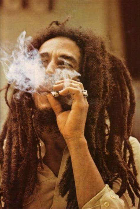 In 1980 When Bob Marley went to Harare, In Zimbabwe for the independence concert, he first took a 143-km trip to Mutoko just to chill with marijuana farmers and taste the Motherland's herb. Your comments on this ...
