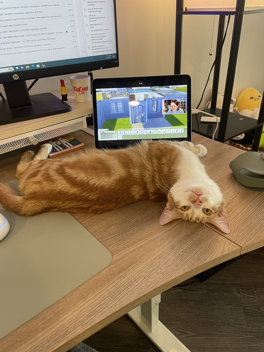 itsayeronn's tweet photo. My cat Mango loves @lilsimsie ✨🤭 https://t.co/mDNwTijsMt