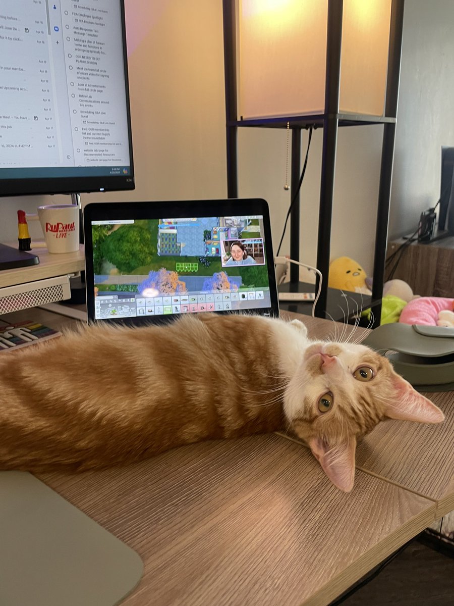 itsayeronn's tweet photo. My cat Mango loves @lilsimsie ✨🤭 https://t.co/mDNwTijsMt