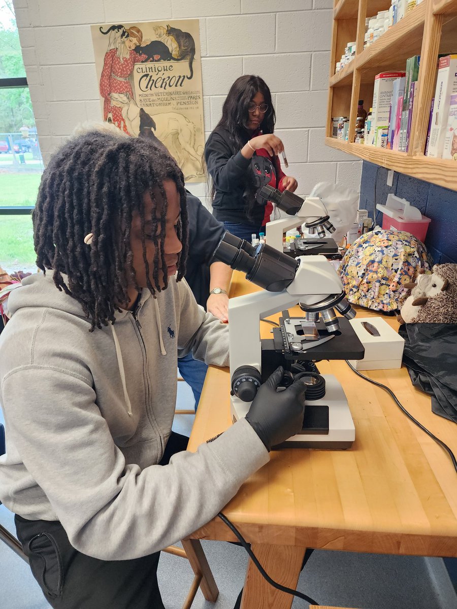 #VeterinaryScience students learned how to smudge animal blood correctly onto slides and stain them so the samples show vividly under a microscope. #verycool #WeAreNewHorizons #leadingboldly @NHREC_CTE_WL @NHREC_VA