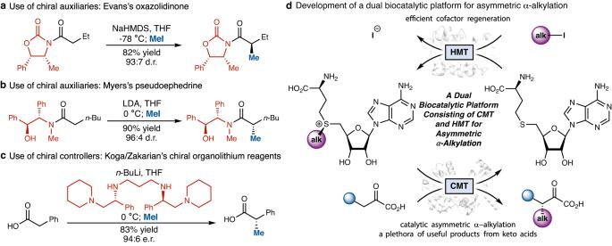 Exciting news! We've achieved a breakthrough in catalytic asymmetric α-alkylation of carbonyl compounds, introducing a fully biocatalytic protocol for asymmetric methylation with record efficiency. Congrats to Yang Yang and team at @CNSI_UCSB! nature.com/articles/s4146…