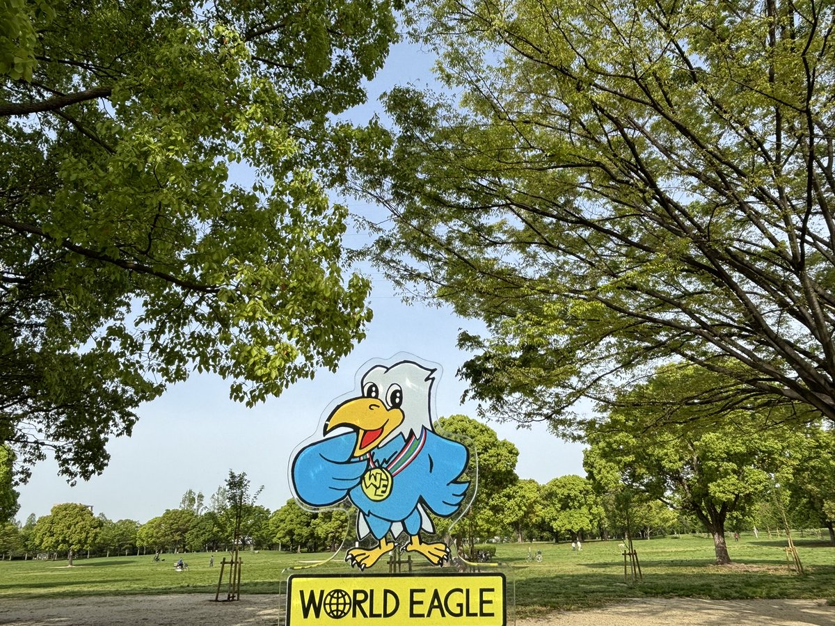 おはようございます 4月20日、土曜日 大阪市、天気はいい感じですが 雲多め 曇りです🌥️ 風車の丘のチューリップ 黄色は散って 赤は今週が見頃 次の花が楽しみです😊 土曜日頑張っていきましょう🏆 【Ike】 #企業公式が毎朝地元の天気を言い合う #チューリップ #ネモフィラ #鶴見緑地公園 #イマソラ