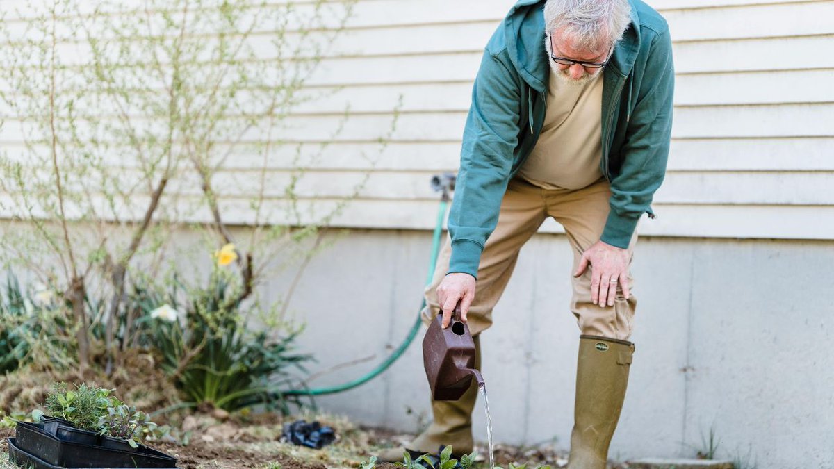 #gardening is an AMAZING past time, it can also be powerful & therapeutic as well. Here are the best senior gardening ideas! buff.ly/49FVmPl #seniorcare #agingcare #elderlycare #Mesa #Scottsdale