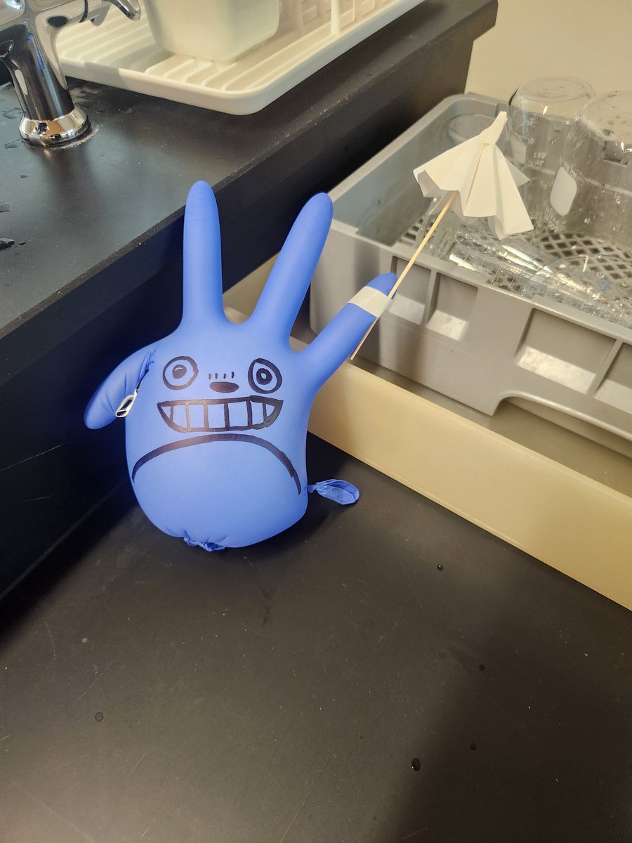 NikolabUsf's tweet photo. Totoro is brightening up the O Chem Labs today! https://t.co/j5Cc1fnmzZ