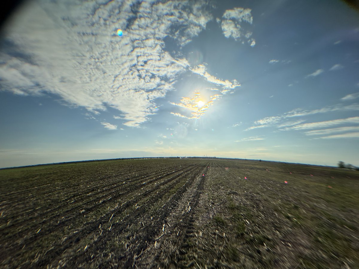 meg_bourns's tweet photo. Kansas is kind of an unassuming place. But let me tell you, she’s gorgeous when she sparkles just right ☀️🌱🌽 https://t.co/1qwoC18RBm