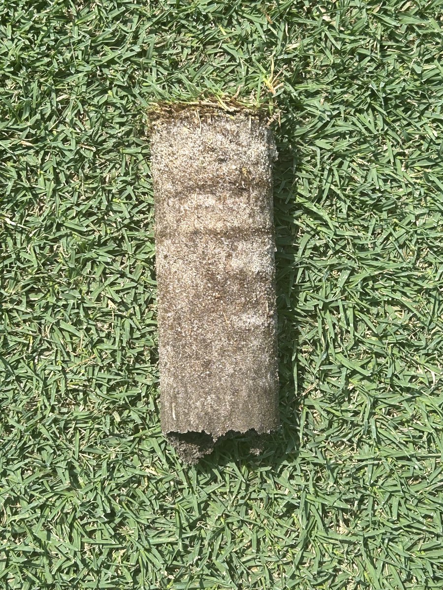 Six years of fairway topdressing. #firmandfast