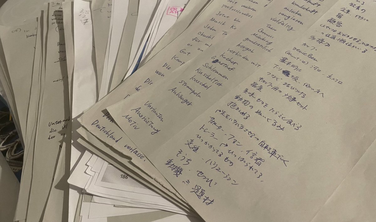 ドイツに来ました！🇩🇪 そして今日、ドイツ語のB2という試験を受け