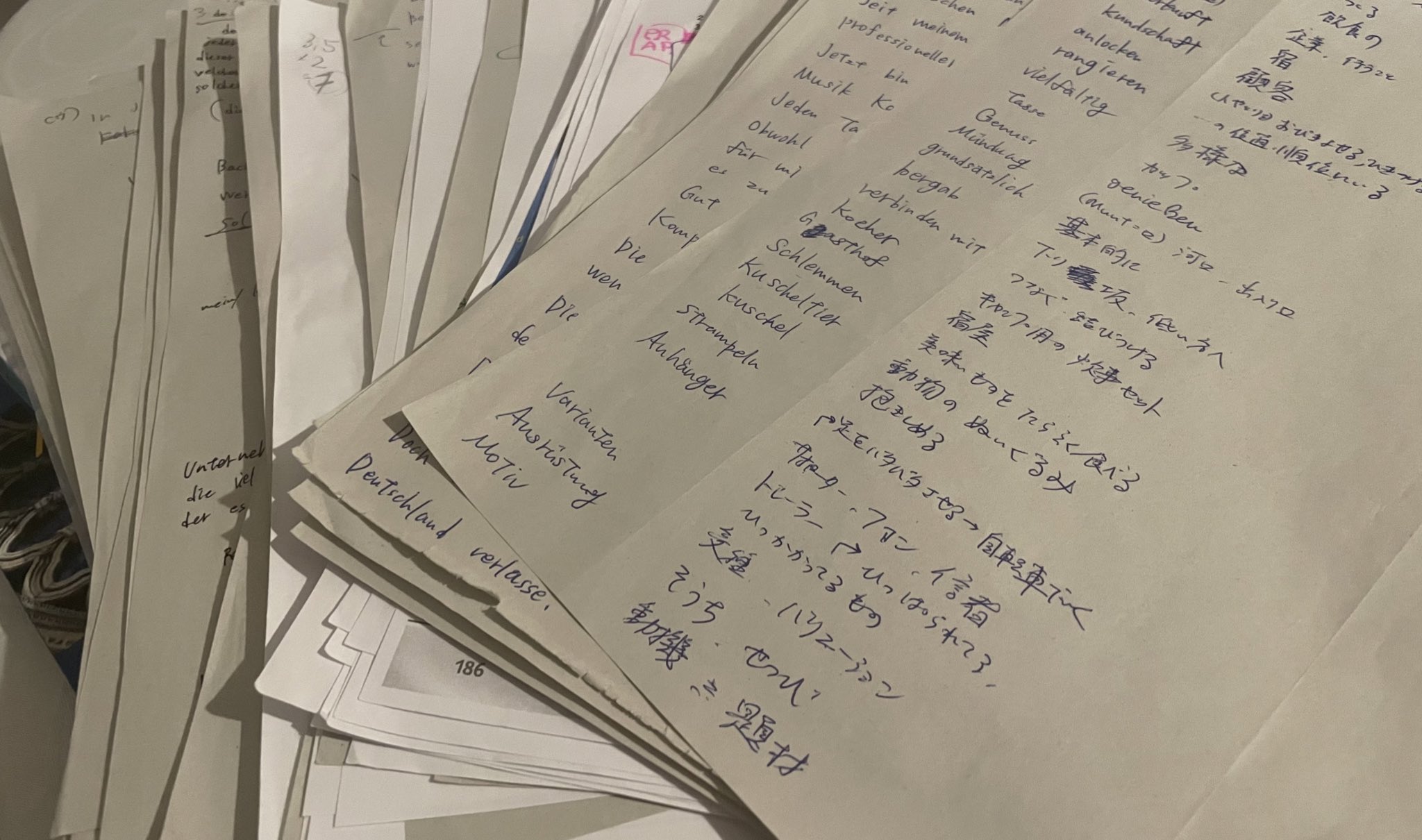 亀井聖矢 Masaya Kamei on X: 