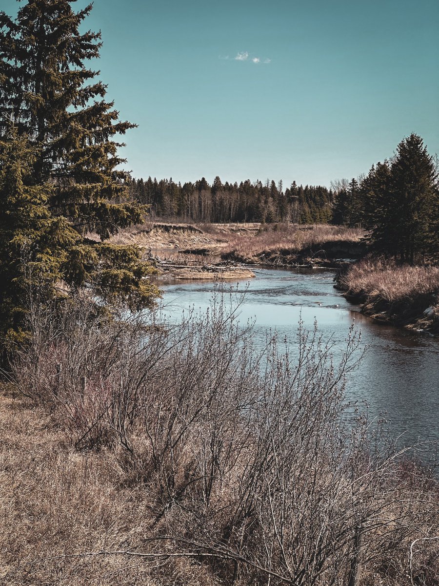 Alberta 🇨🇦 #naturephotograhpy