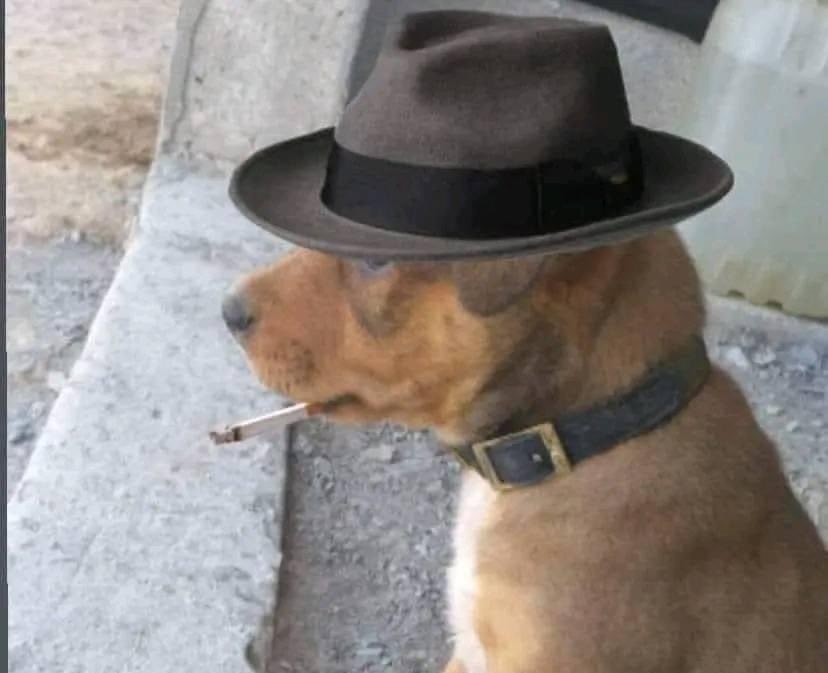 Redstone canarias te extraño