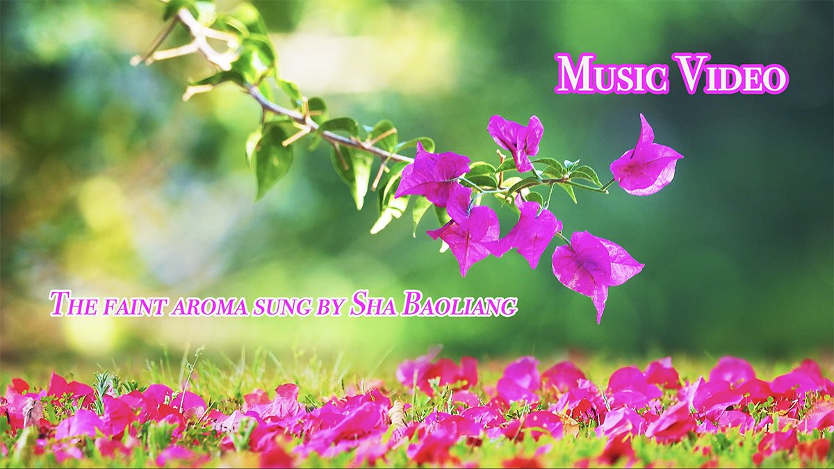 HefengZhao's tweet photo. 4K New Music Video: Faint Aroma sung by Sha Baoliang  音乐视频  沙宝亮演唱的《暗香》 https://t.co/NqXQLMuD41 来自 @YouTube https://t.co/ZPoavPUxOR