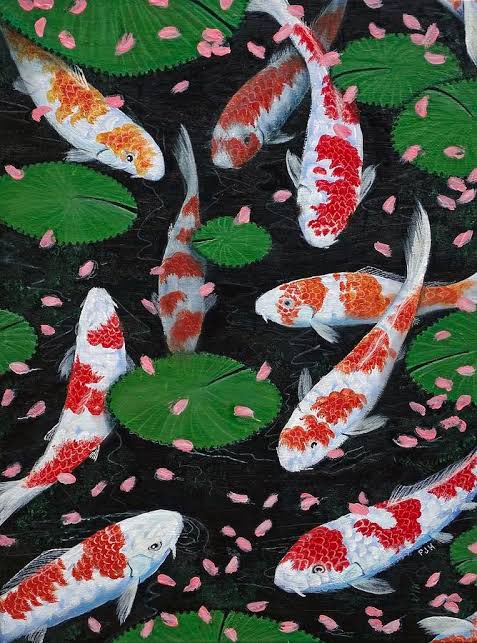 Koi is a homophone for another word that means “#affection” or “#love” in Japanese; #koi symbolise love and #friendship in #Japan among many other symbols. Today, koi are also increasingly becoming a universal #symbol of #peace all over the world.