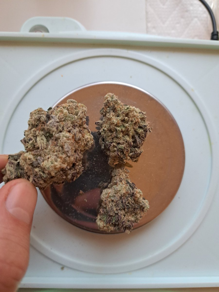 Thank you for sharing <a href="/shaynes_selects/">-S🍃</a> ! I had 3 beauty buds in the 7g pack from that drop! I dont normally like MACs but this smokes so nice <a href="/JRStrain_/">J.R. Strain</a>