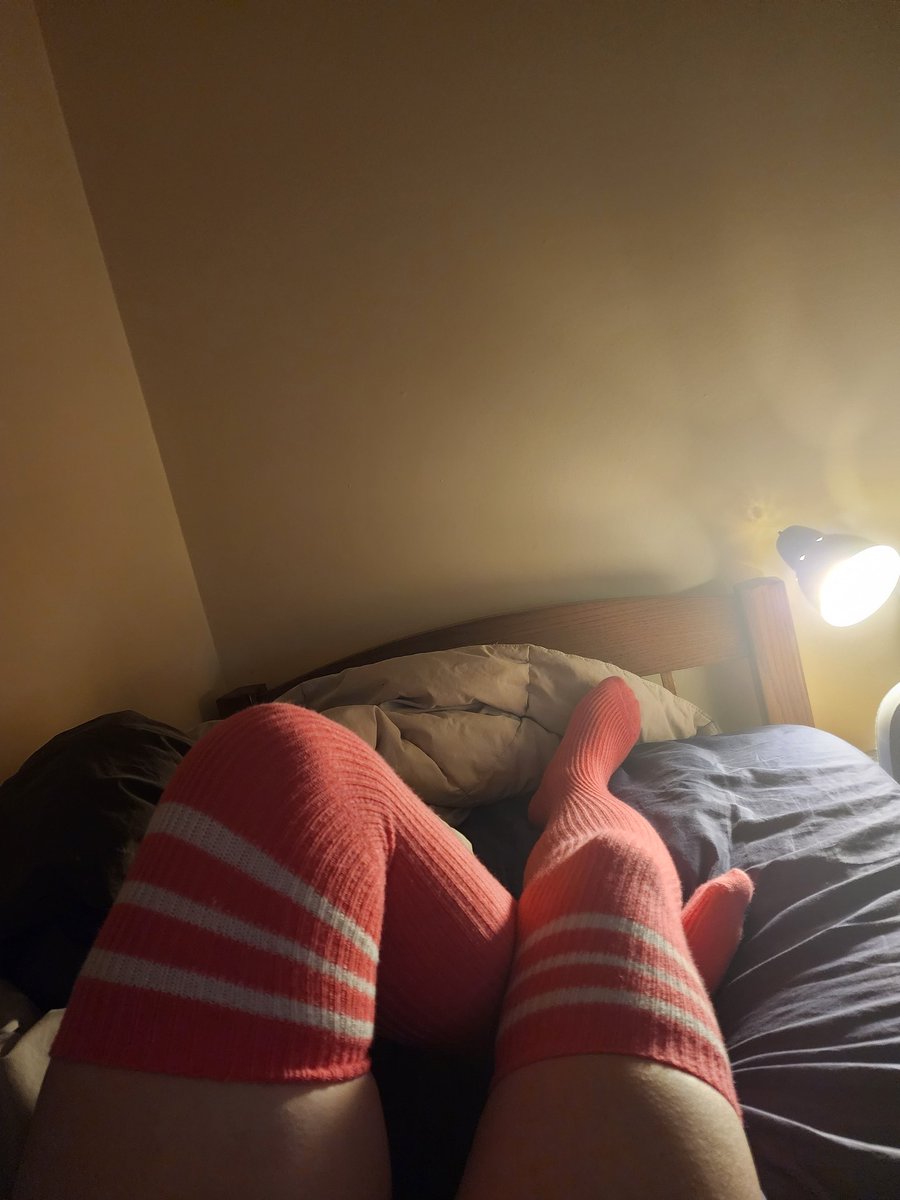 CuteBunhops's tweet photo. comfy https://t.co/gQfMvOb1Hj