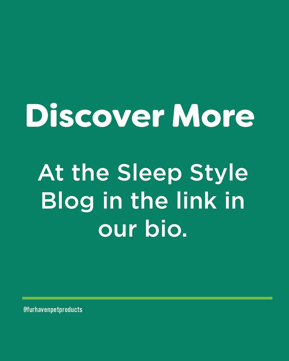 furhavenpet's tweet photo. Is your pet a #Leaner? Learn all about what that is below, or at the link in our bio!

#FurHaven #PetBed #SleepStyles https://t.co/xgc1jDRzyq