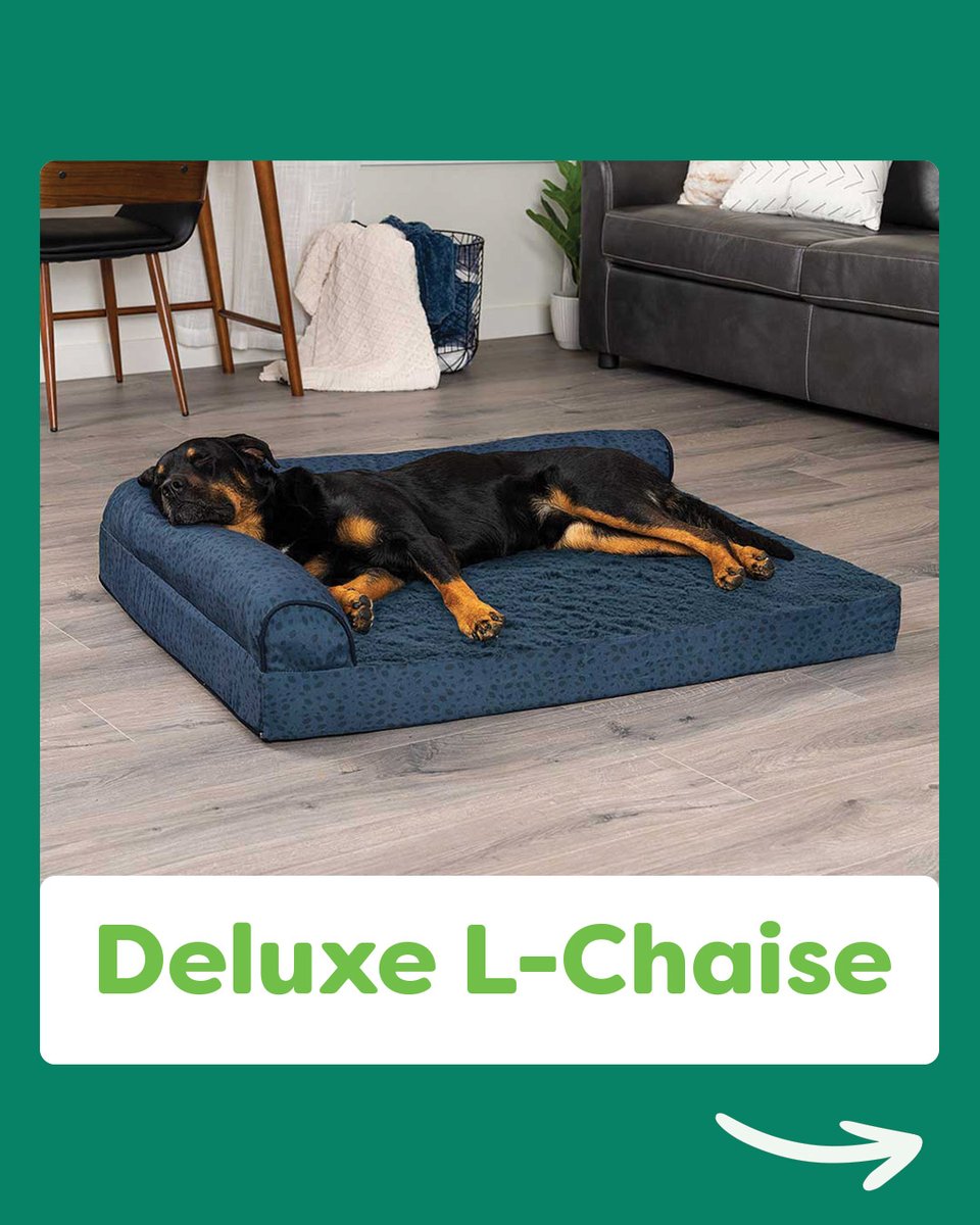 furhavenpet's tweet photo. Is your pet a #Leaner? Learn all about what that is below, or at the link in our bio!

#FurHaven #PetBed #SleepStyles https://t.co/xgc1jDRzyq