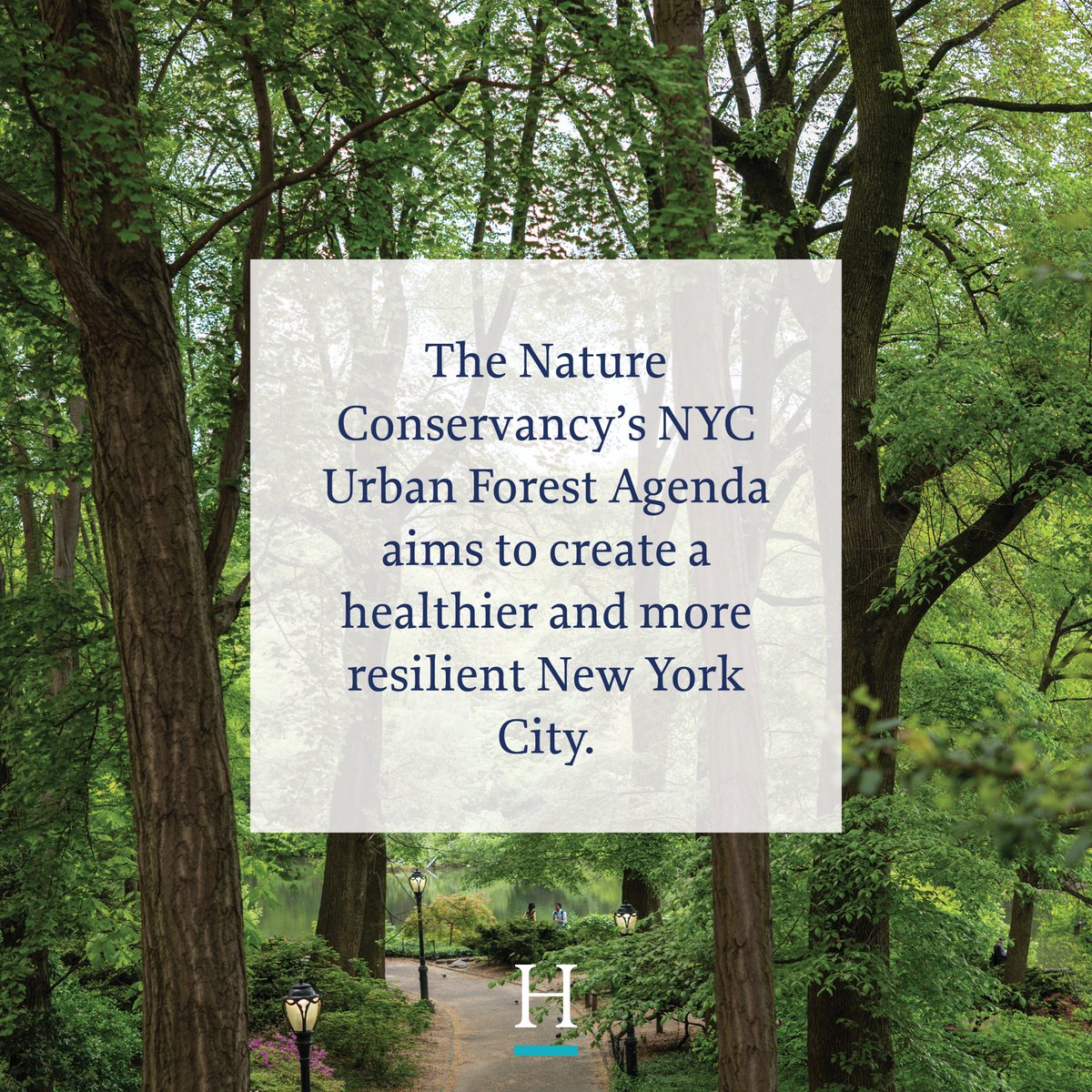 Trees are the lifeblood of New York City. Urban forests – tree canopies that help cities breathe – are essential for the public health of city dwellers. This is why we support The Nature Conservancy (@nature_org ) in their Future Forest NYC program. The Nature Conservancy aims…