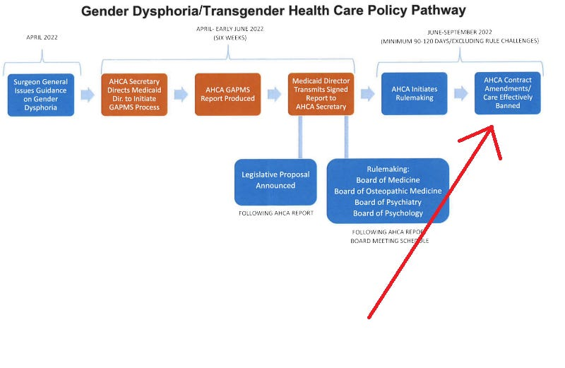 11. This is a significant conflict of interest and the discrepancies here only serve to cast more doubt on the credibility of the report. The Florida reviews meant to ban care had already planned 'care effectively banned' in a powerpoint document before the review even started!