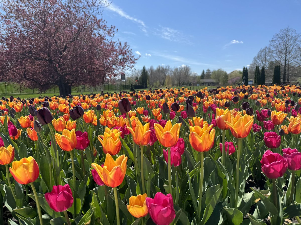 niccodriver's tweet image. Good times visiting my son in Iowa