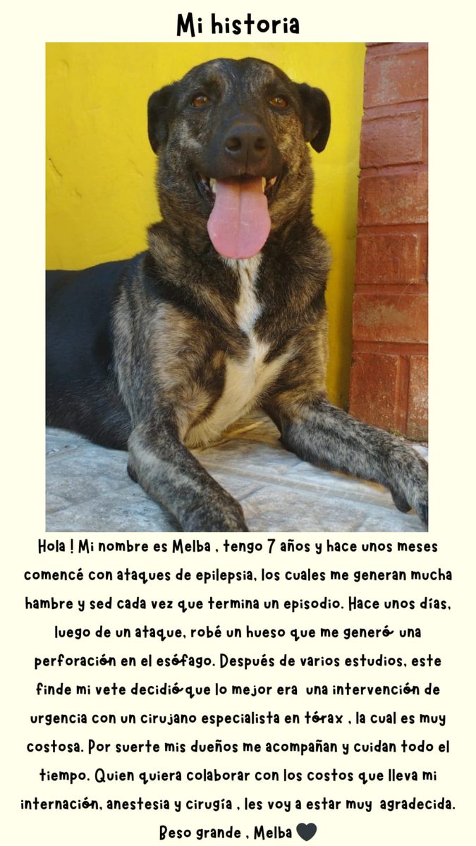 MicaValetti's tweet photo. Si quieren colaborar comprando o compartiendo nos ayudan muchísimo 💕 Gracias https://t.co/1lcWLBLj90