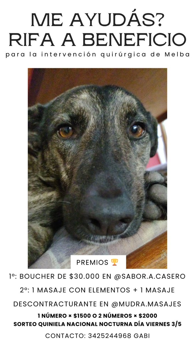MicaValetti's tweet photo. Si quieren colaborar comprando o compartiendo nos ayudan muchísimo 💕 Gracias https://t.co/1lcWLBLj90