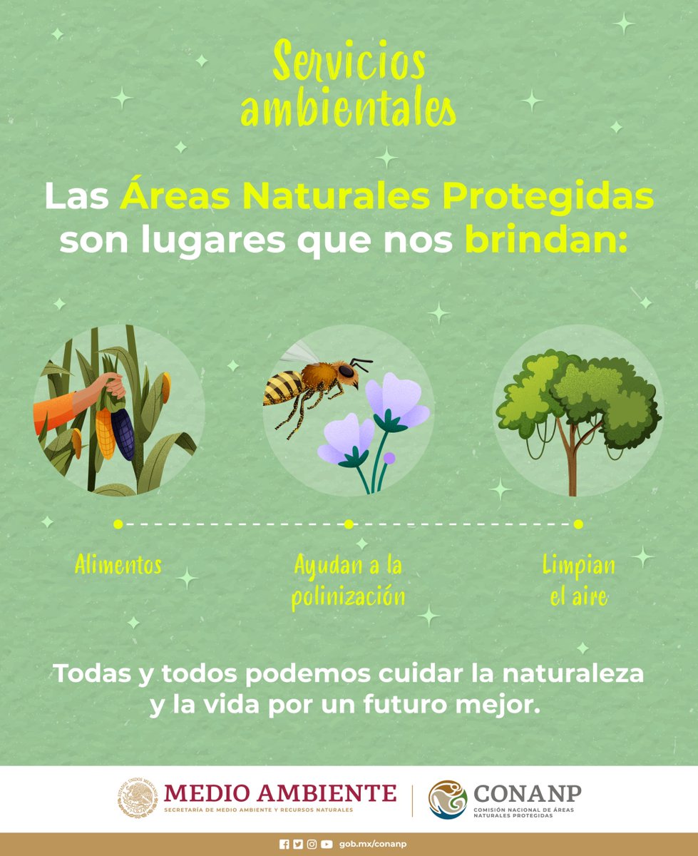 Los #ServiciosAmbientales son beneficios que obtenemos de la naturaleza. 🍃✨ Al cuidar las #ÁreasNaturalesProtegidas garantizamos su provisión para las presentes y futuras generaciones. 🍃🌊🌿🌽🍅🥦🍯🍎🌧️⛰️🐝🌵🌸🦇🌼🎣🏕️🥾