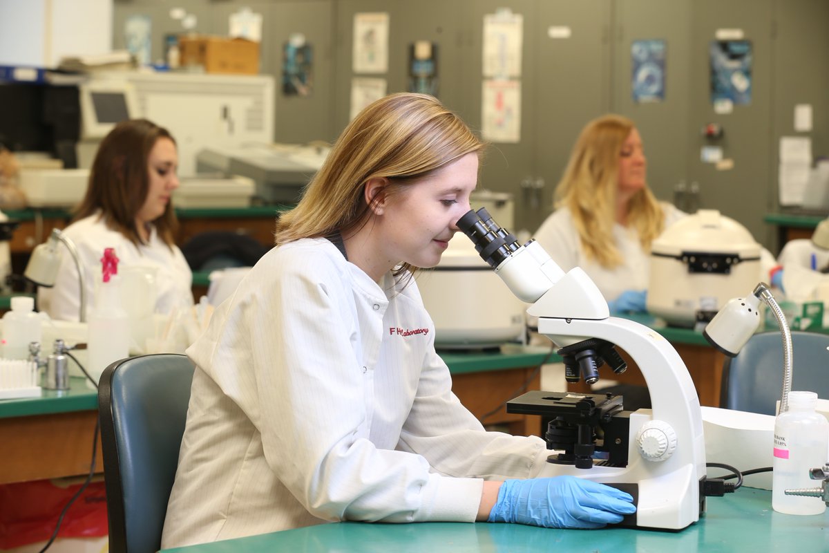 bgsu's tweet image. Learn how our new online Medical Laboratory Science program is addressing a critical need in healthcare 🔬💉: bit.ly/3Ud8hD5 
#MedicalLabWeek