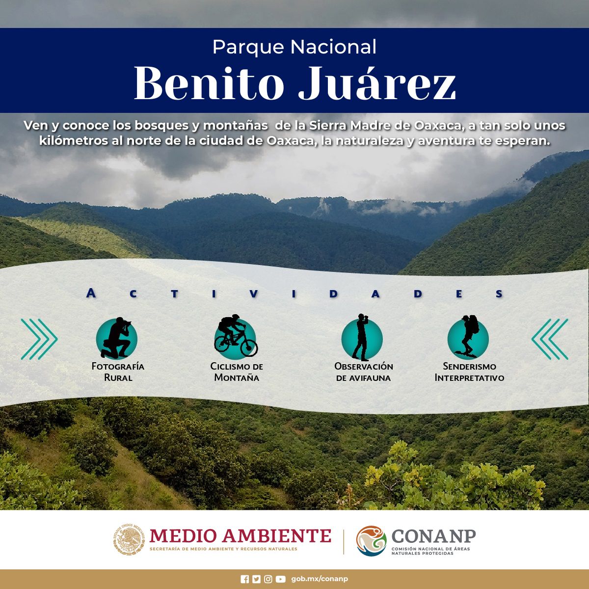 El Parque Nacional #BenitoJuárez conserva impresionantes ecosistemas de la sierra del norte de Oaxaca. 🌄 Es un importante pulmón para esta ciudad y una de sus principales fuentes de agua. 💧 Cuidemos las #ÁreasNaturalesProtegidas. #TurismoResponsable 🫁🌊🌿🌳🐯🐍🐱🦎🐦🐸🦌