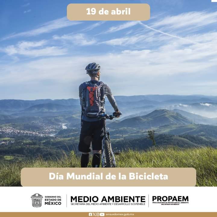 Este día se utiliza para destacar las ventajas del uso de la bicicleta y sus beneficios para la salud. En Asia, especialmente en China y la India, es el principal medio de transporte.