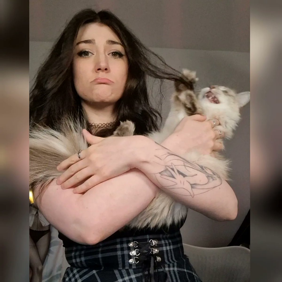 Wolfabelle tweet media