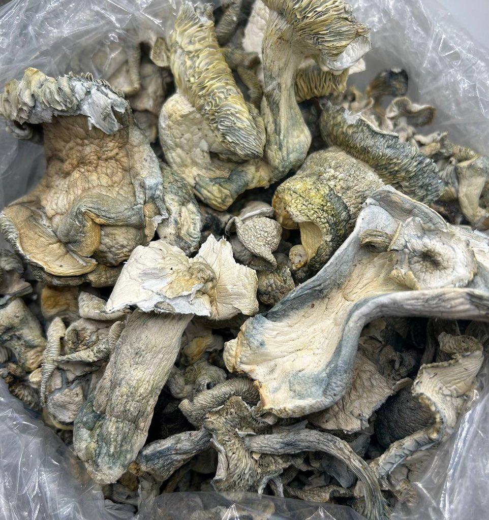 Super ape shrooms: 
1 oz -$35 
1 p -$350